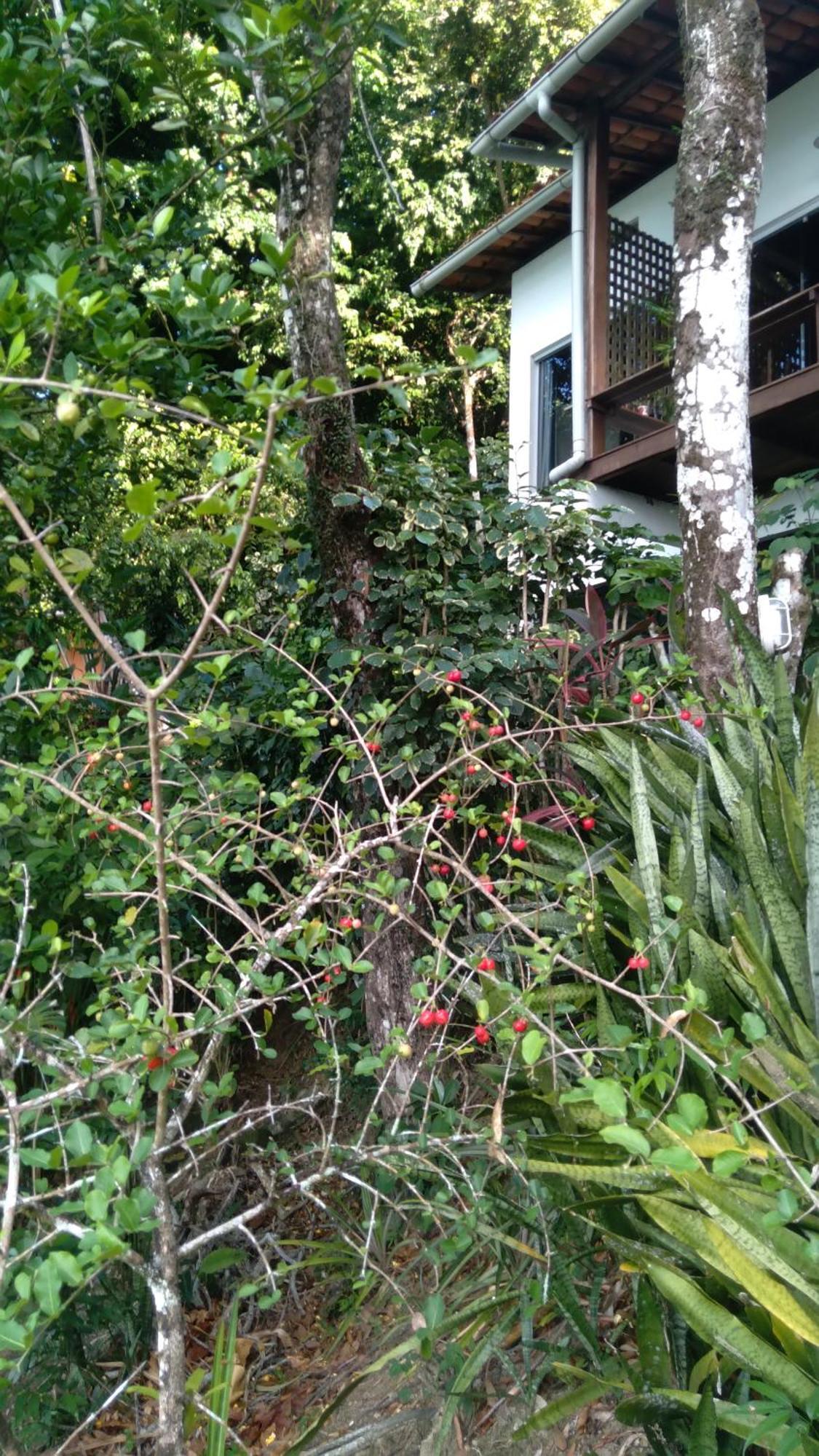 Casa Shuhari Villa Morro de Sao Paulo Luaran gambar